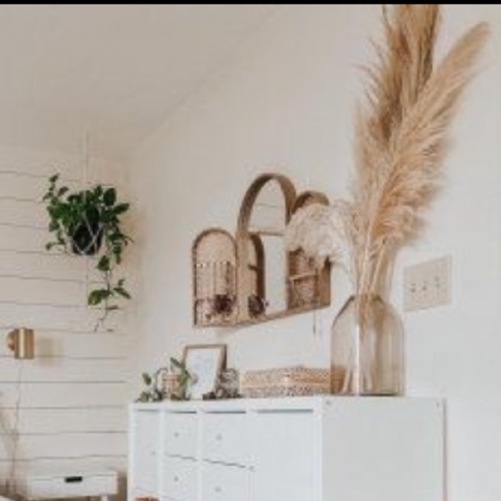 PAMPAS GRASS dried natural grass decor 3 STEMS